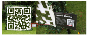 Vodafone QR Code App